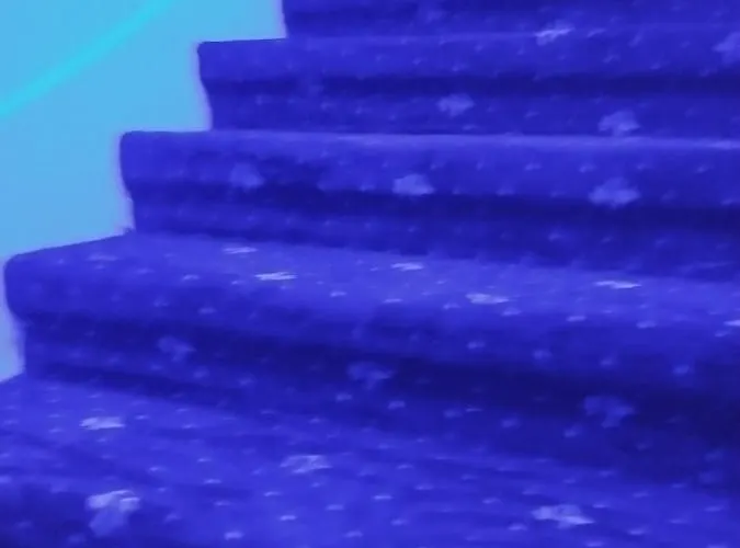 Bonami 호텔 이스탄불